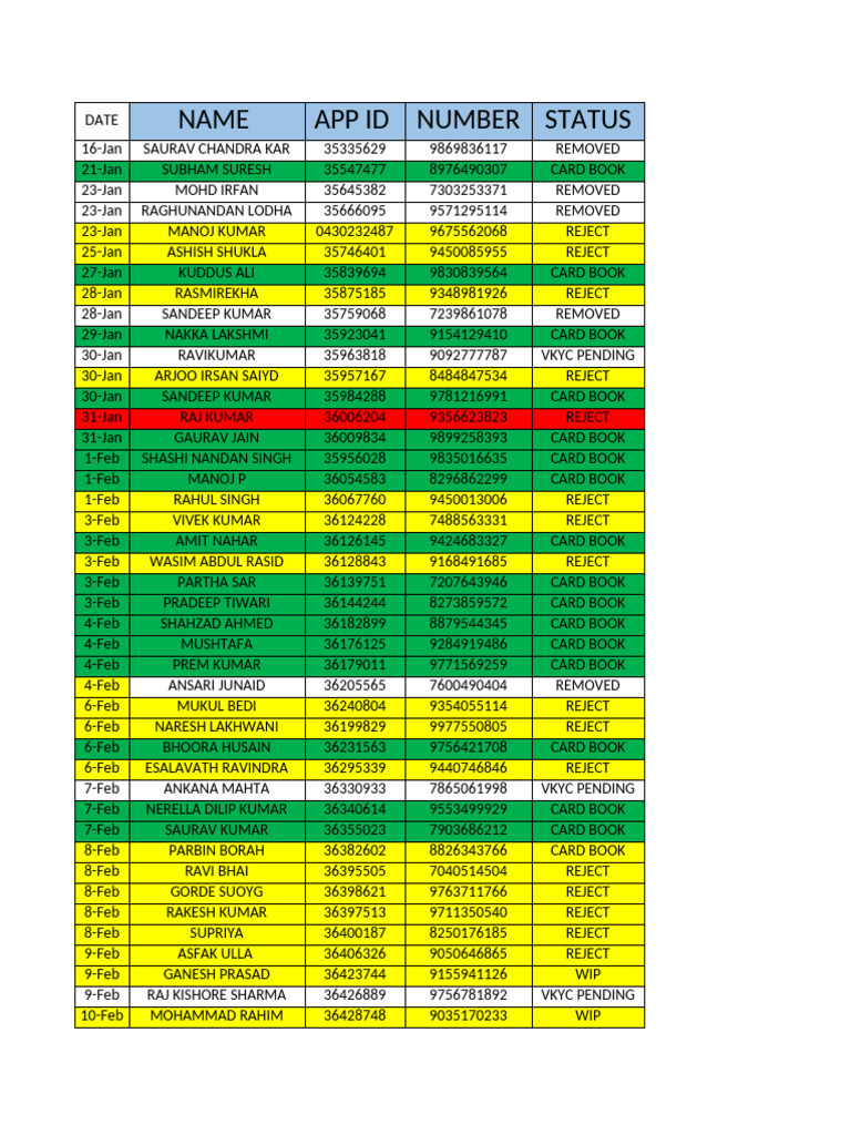 Credit Card Application Status Report | PDF