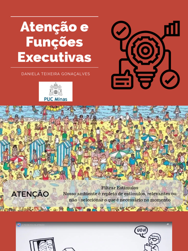 Atenção e Funções Executivas em Neuropsicologia | PDF | Atenção ...