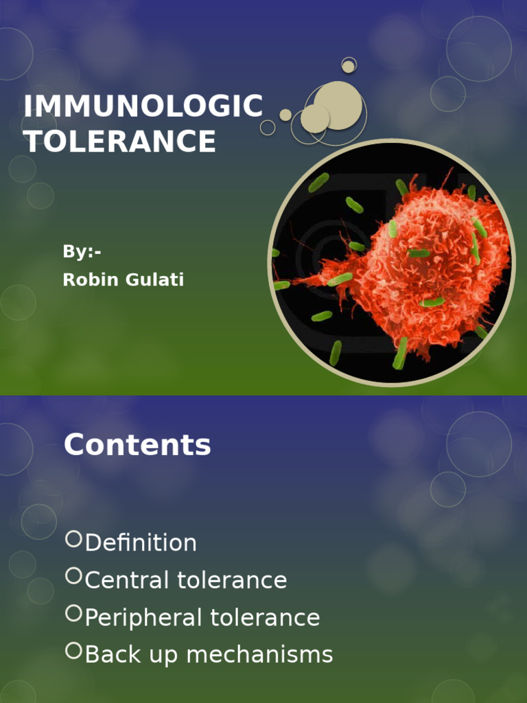 Immunologictolerance 120326004403 Phpapp02 | PDF | T Cell | Immune ...