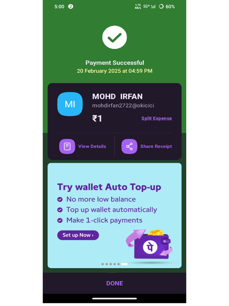 Phone Pay | PDF