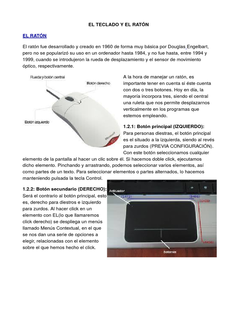 Guía sobre Teclado y Ratón: Funciones Clave | PDF | Teclado | Informática