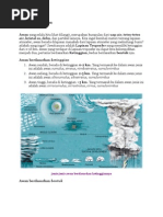 Download Macam awan by Esty Widya Astuti SN83052658 doc pdf
