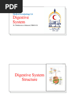 Medical Terms for Oral and Digestive Health | PDF