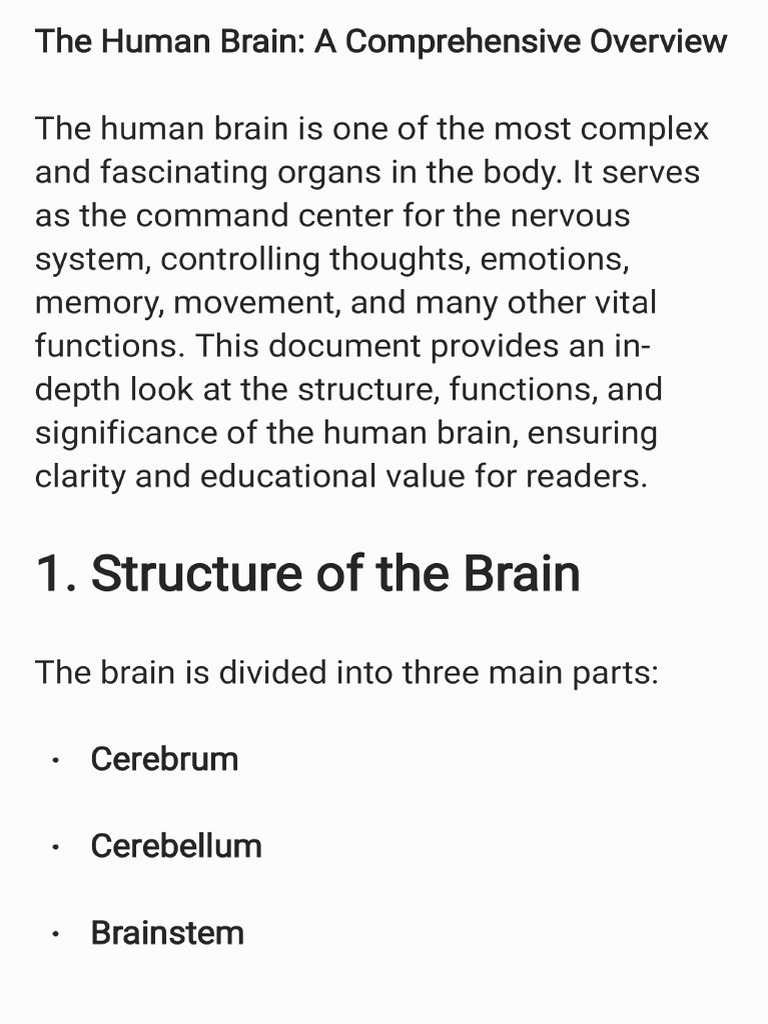 The Human Brain | PDF