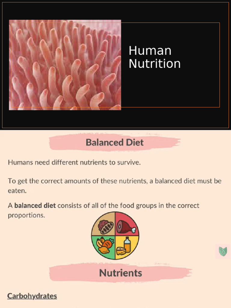 Human Nutrition | PDF