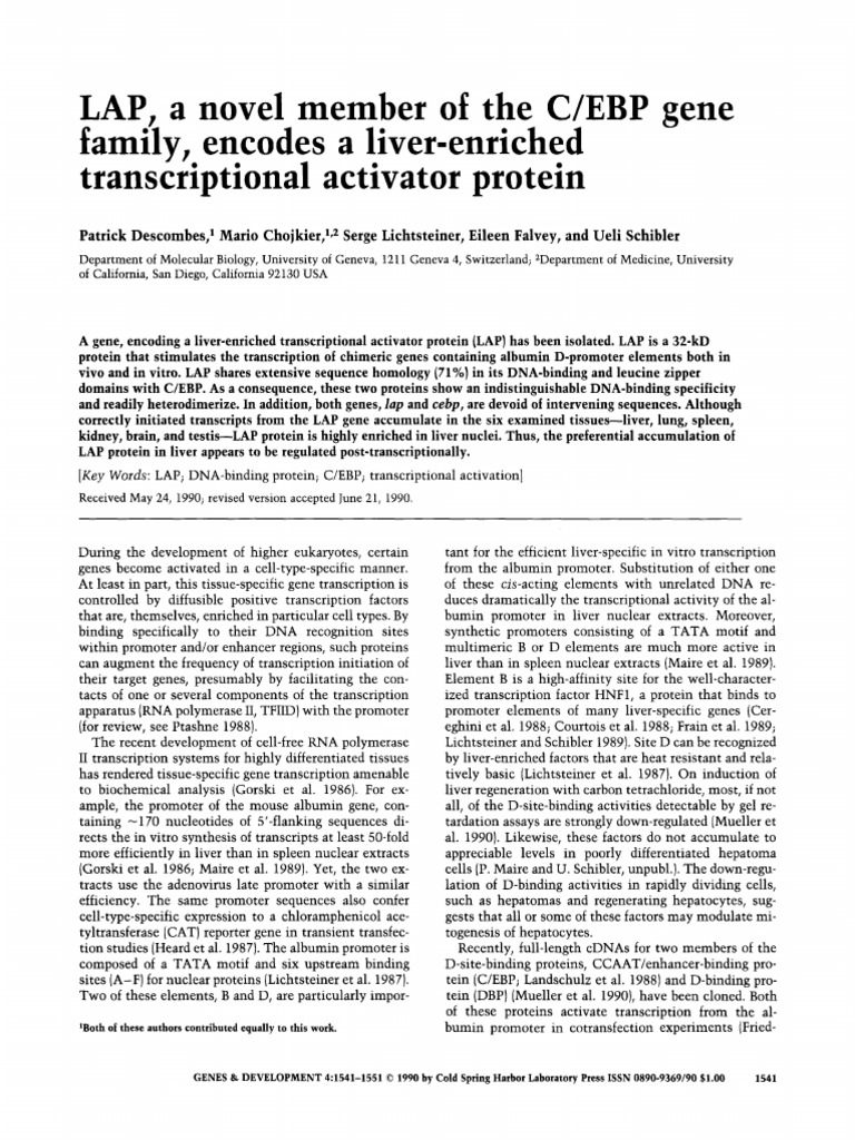 Genes Dev. 1990 Descombes 1541 51 | PDF | Promoter (Genetics) | Proteins