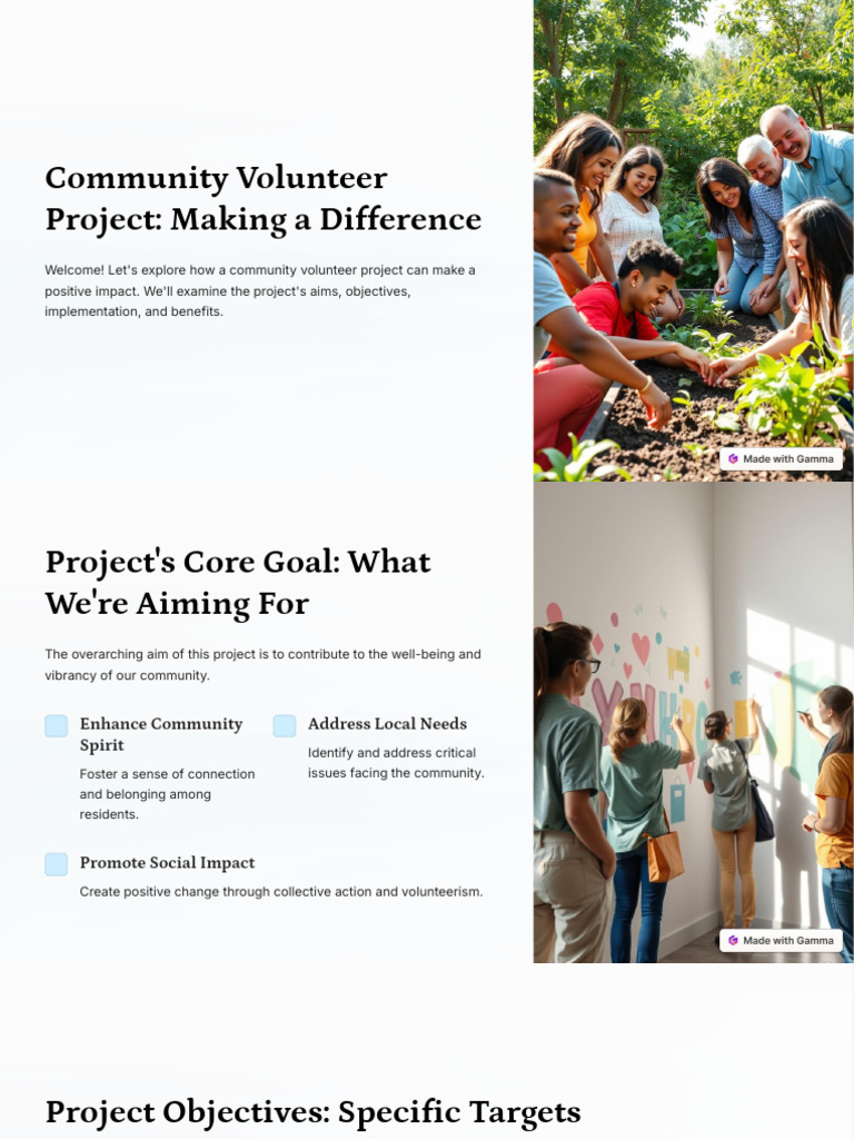 Community Volunteer Project Overview | PDF | Volunteering | Mentorship