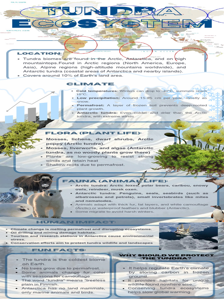 Blue Budgeting Process Steps Infographic - 20250218 - 130428 - 0000 ...