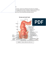 Tugas Mandiri (Hemoroid) - Jefry H