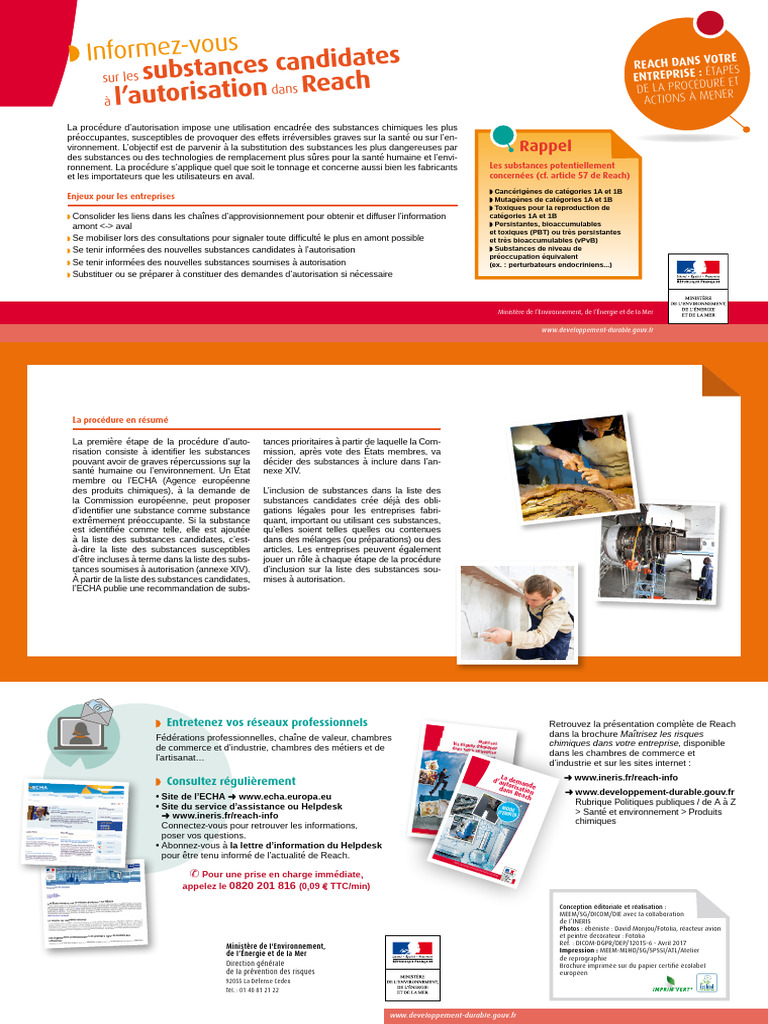 Demande d'autorisation REACH : Guide pratique | PDF | Chimie | Santé et ...