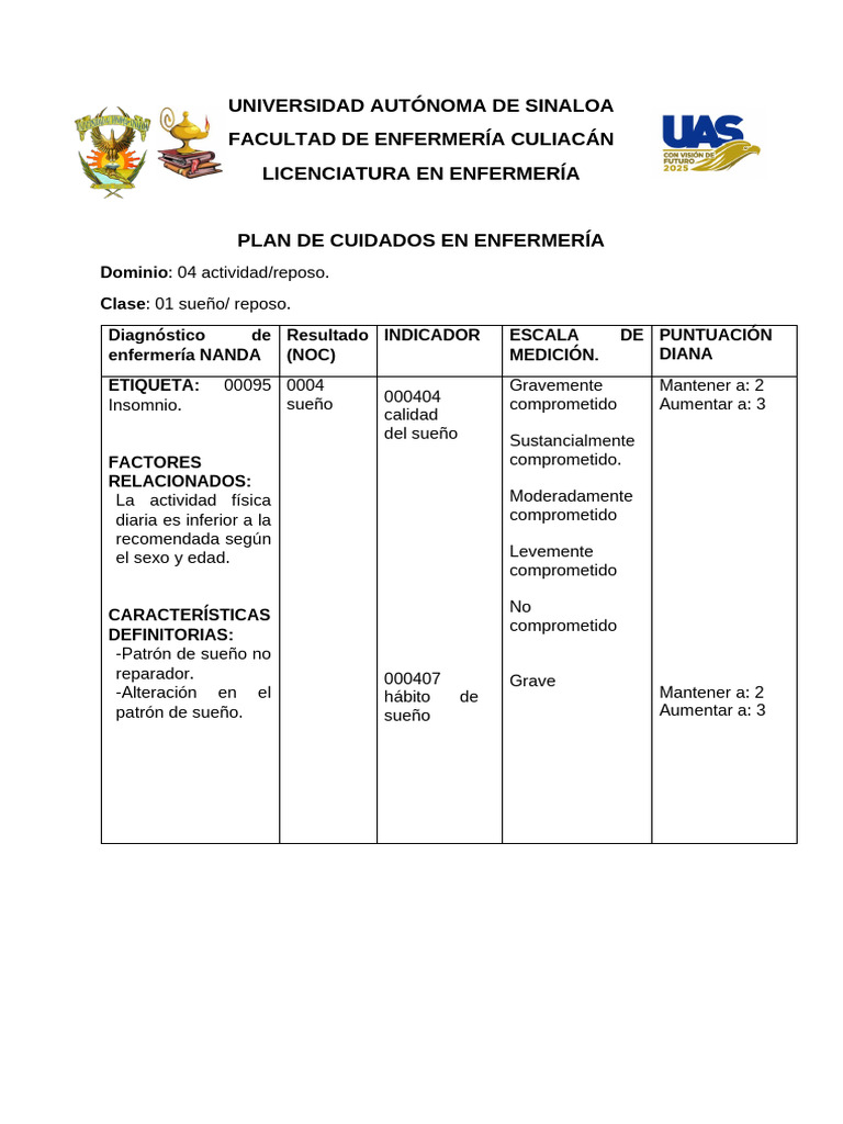 Plan de Cuidados para Insomnio | PDF | Dormir | Enfermería