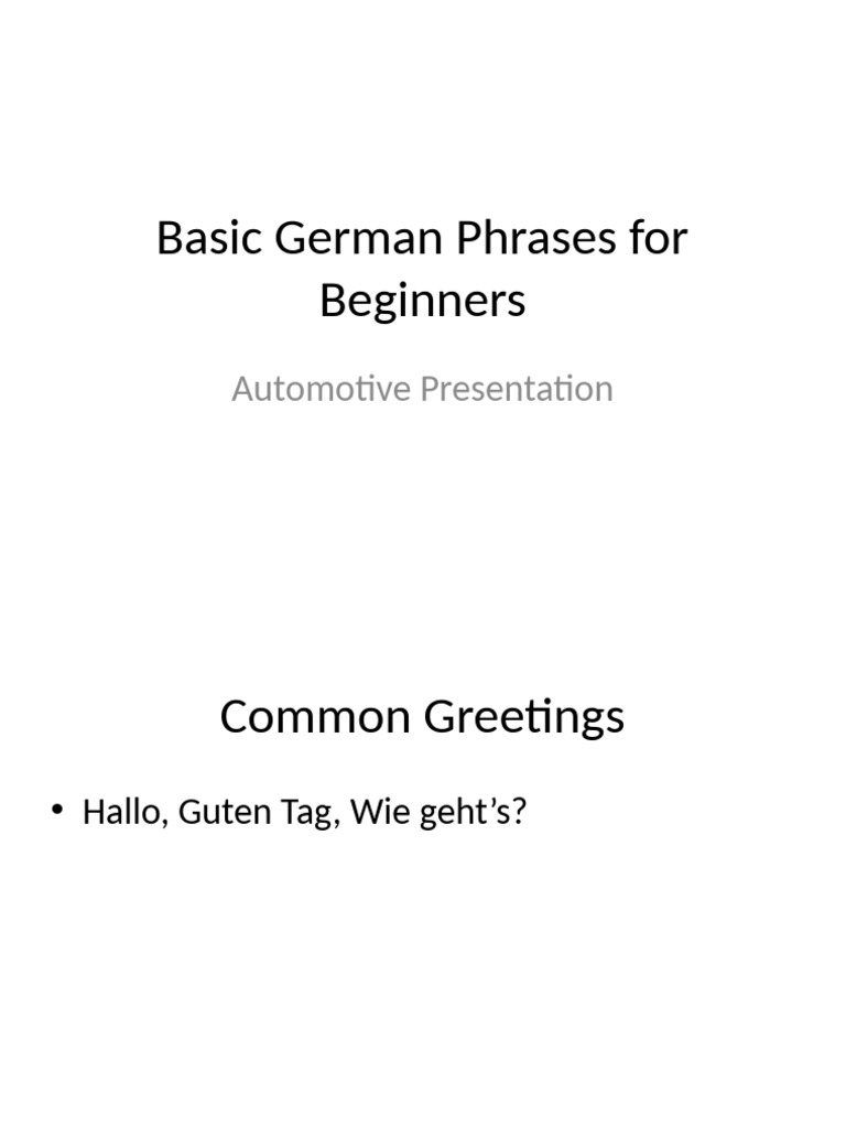 Basic German Phrases For Beginners | PDF