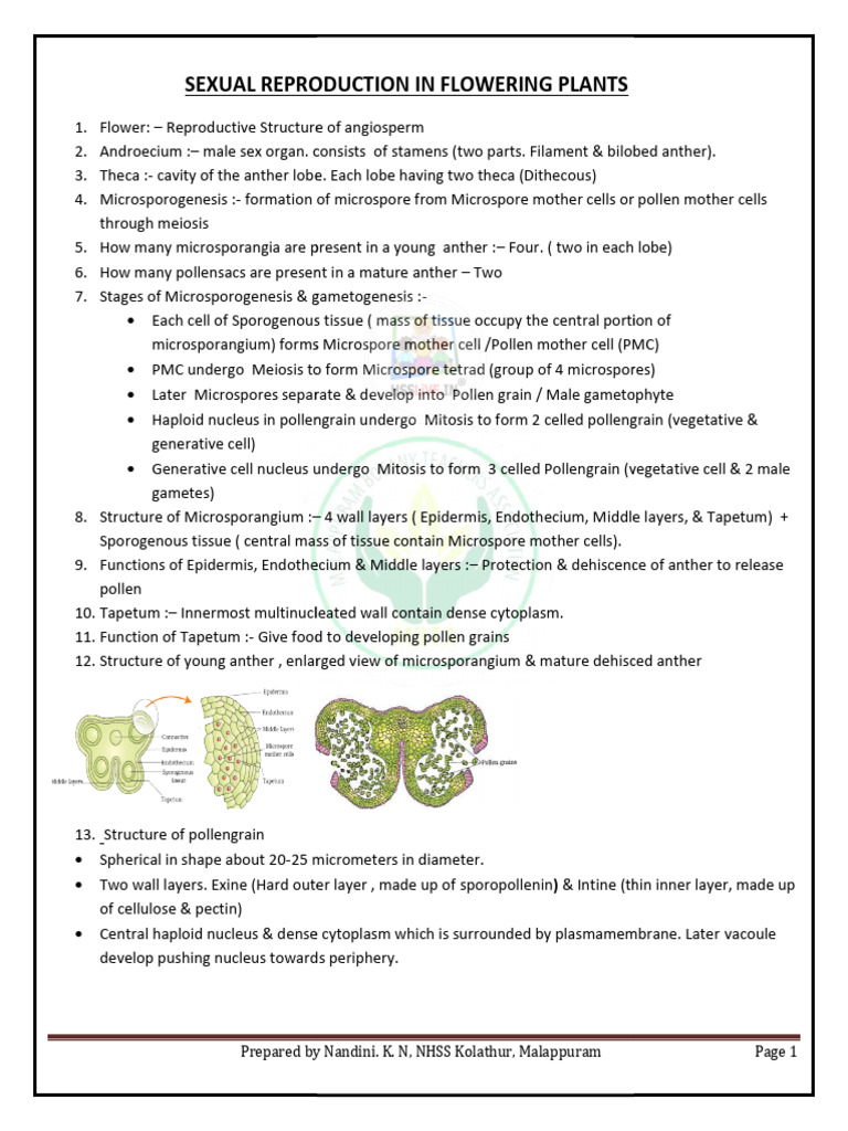Hsslive Plus One Botany Short Notes