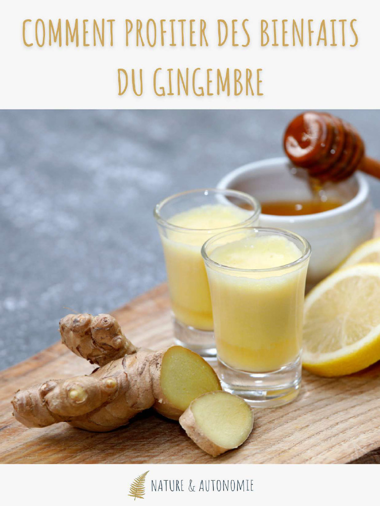 Bienfaits et usages du gingembre PDF Gingembre — free download