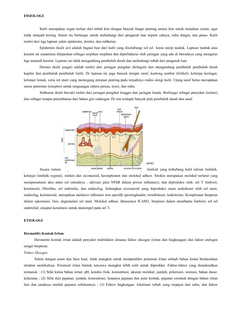 Patofisiologi dermatitis kontak iritan pdf