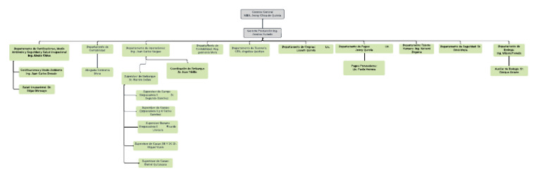 Hierarchical Organizational Chart - Uzcatimport | PDF