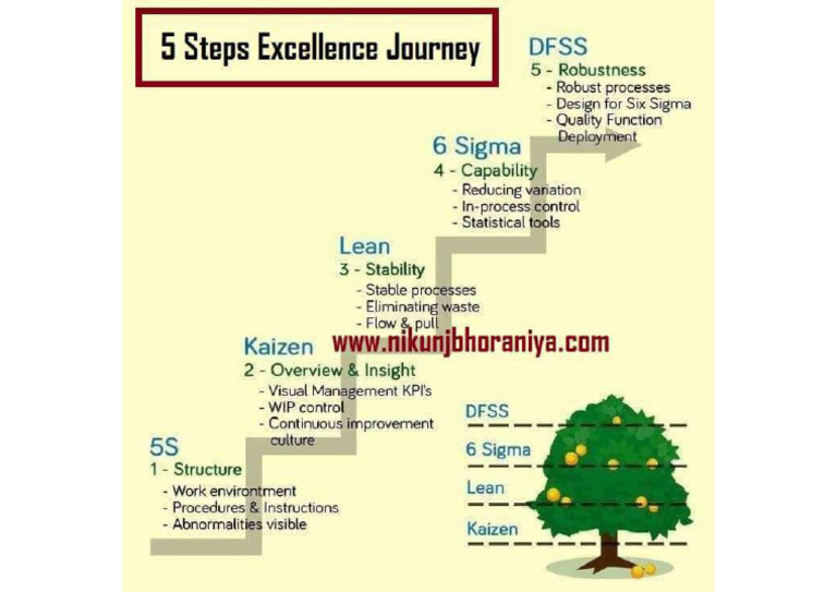 5S To DFSS | PDF