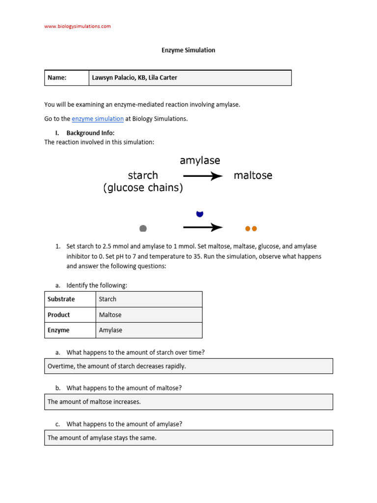 Enzyme Simulation - Honors Amylase A | PDF | Enzyme | Starch