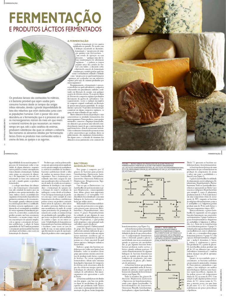 Fermentação em Lácteos: Processos e Produtos | PDF | Fermentação ...