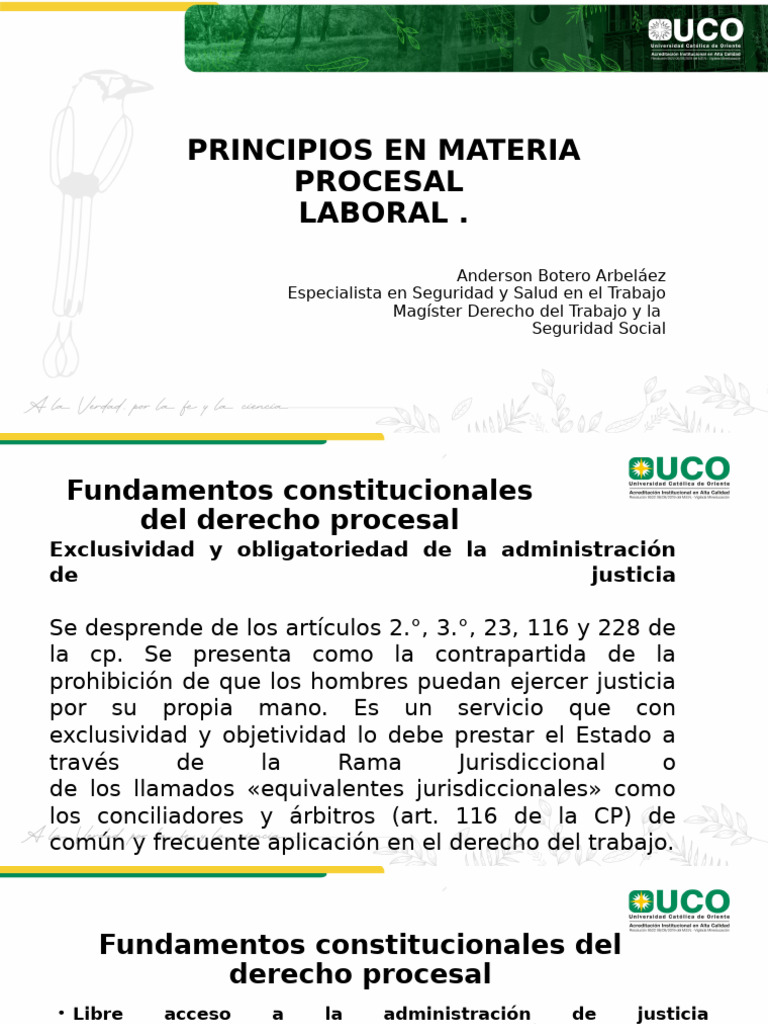 Principios del Derecho Procesal Laboral | PDF | Ley procesal | Debido ...