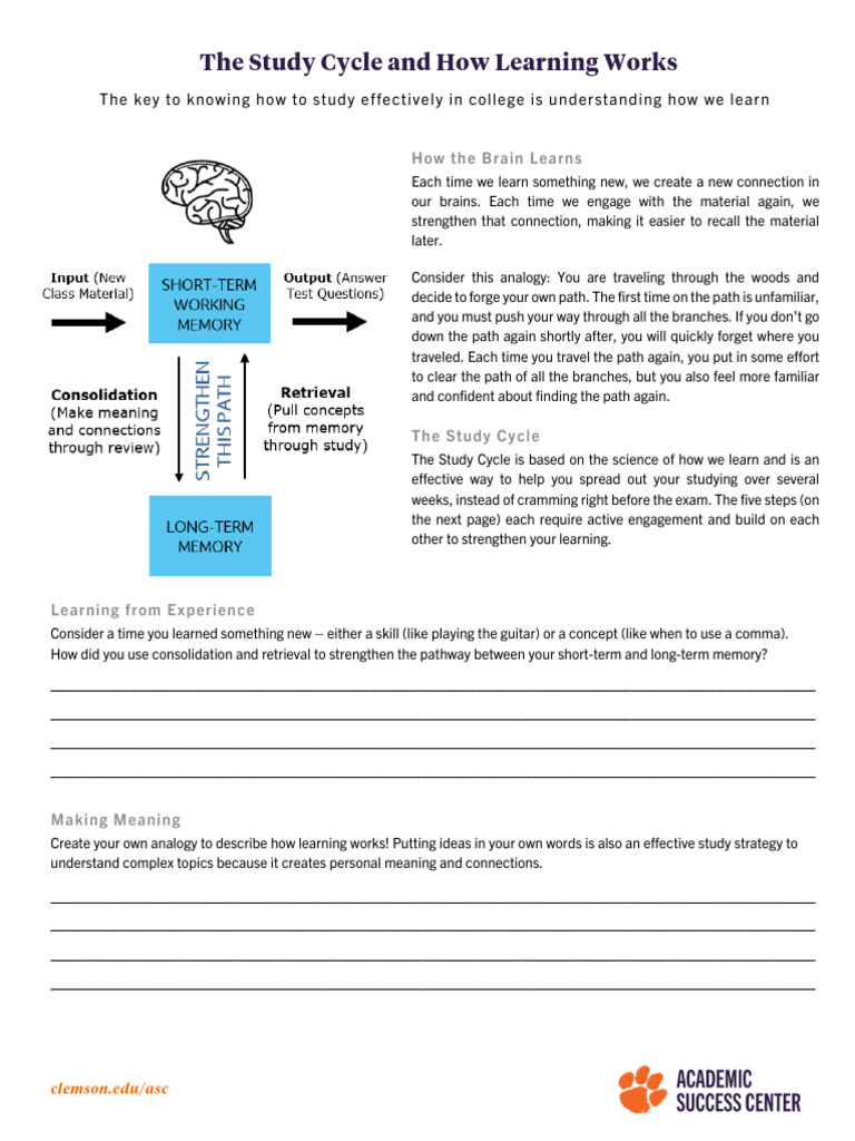 Mastering the Study Cycle for Learning | PDF | Memory | Behavior ...
