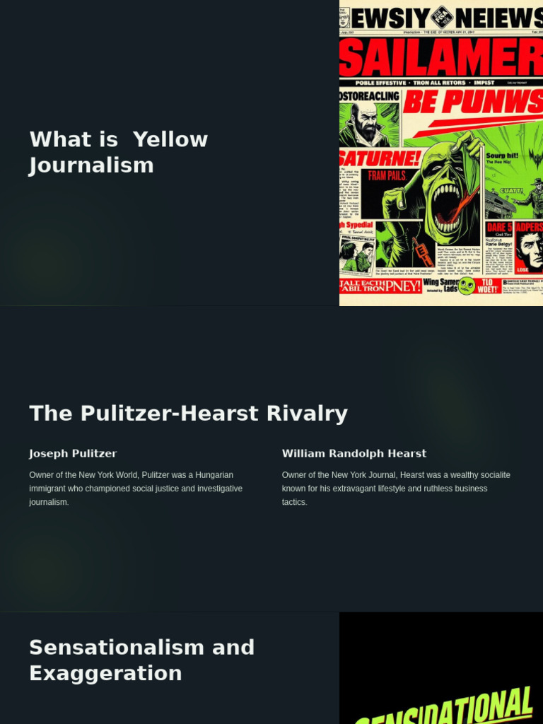 Sevil Yellov Journalism | PDF | Journalism | News