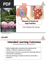 Corazza Villanacci Celiac Classification | PDF | Coeliac Disease ...