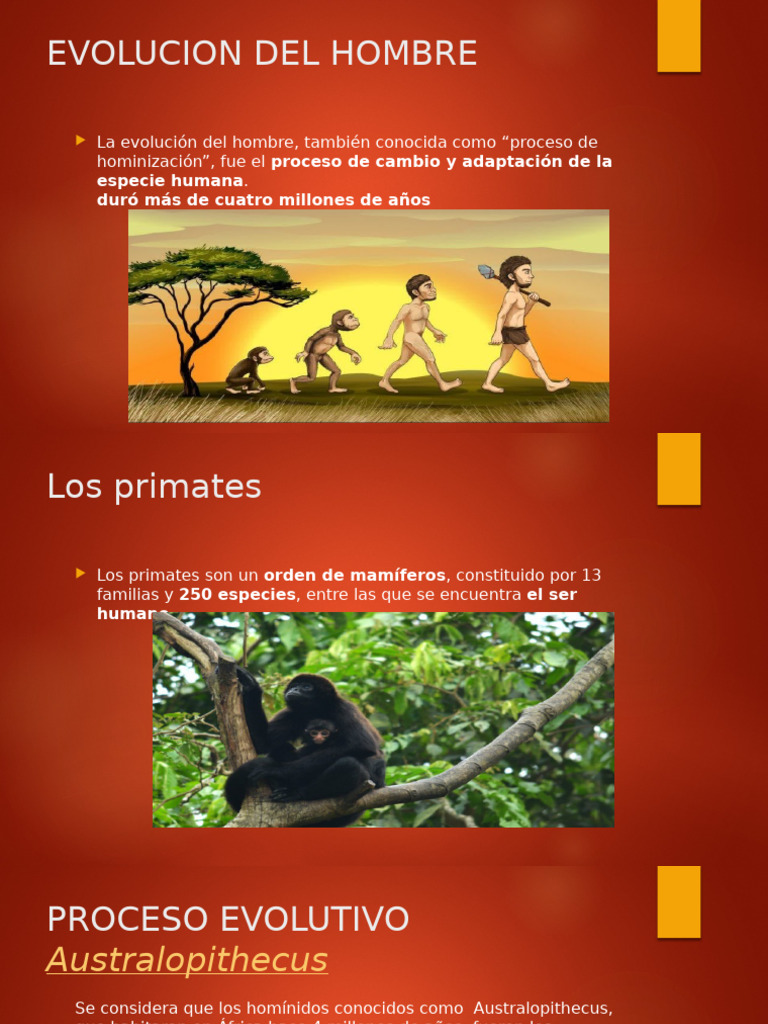 Evolucion Del Hombre | PDF | Homo | Evolución humana