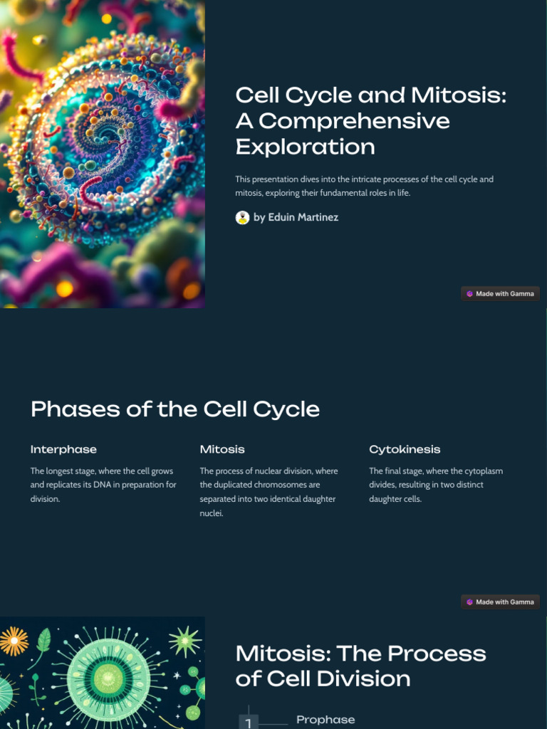 Cell Cycle and Mitosis Explained | PDF | Mitosis | Cell (Biology)