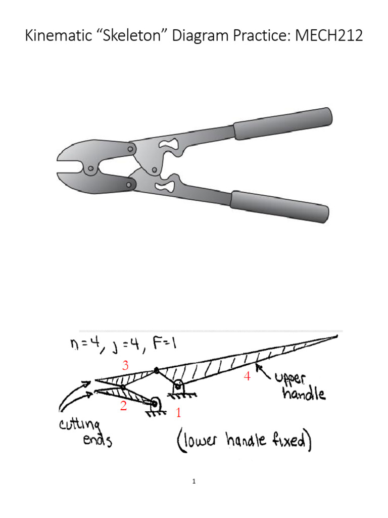Chapter+1+Handout+%28Skeleton+Diagrams%29+-+Key | PDF