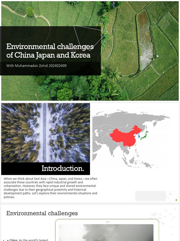 East Asia's Environmental Challenges | PDF