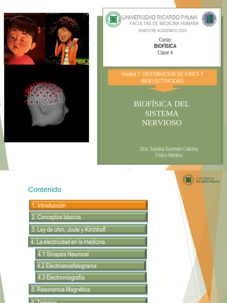 Clase 4 - Biofisica Sistema Nervioso | PDF | Electromiografia ...