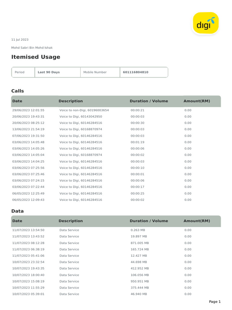 Mobile Usage Summary | PDF