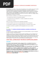 Significado y traducción de 