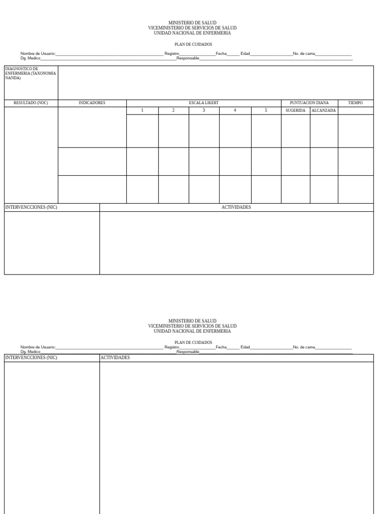 Formato Plan de Cuidado | PDF