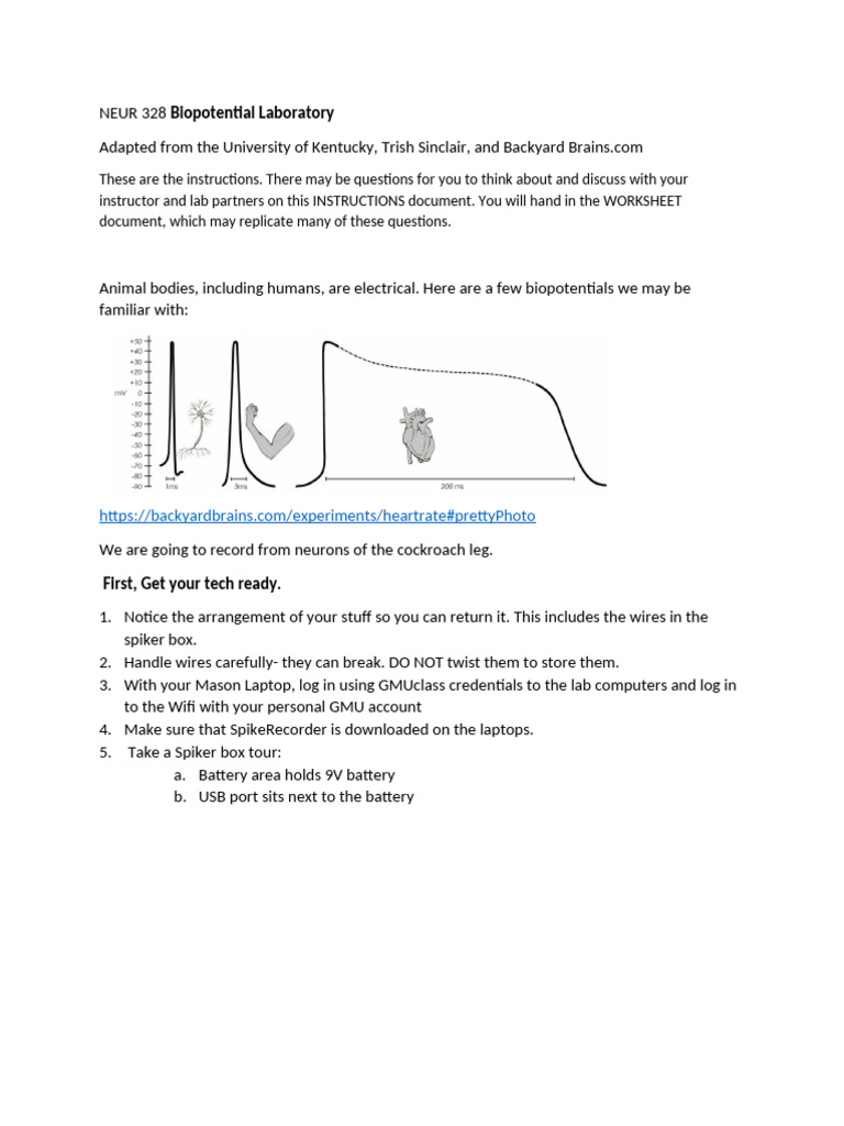 Cockroach Leg Neuron Recording Lab | PDF | Computer File | Usb