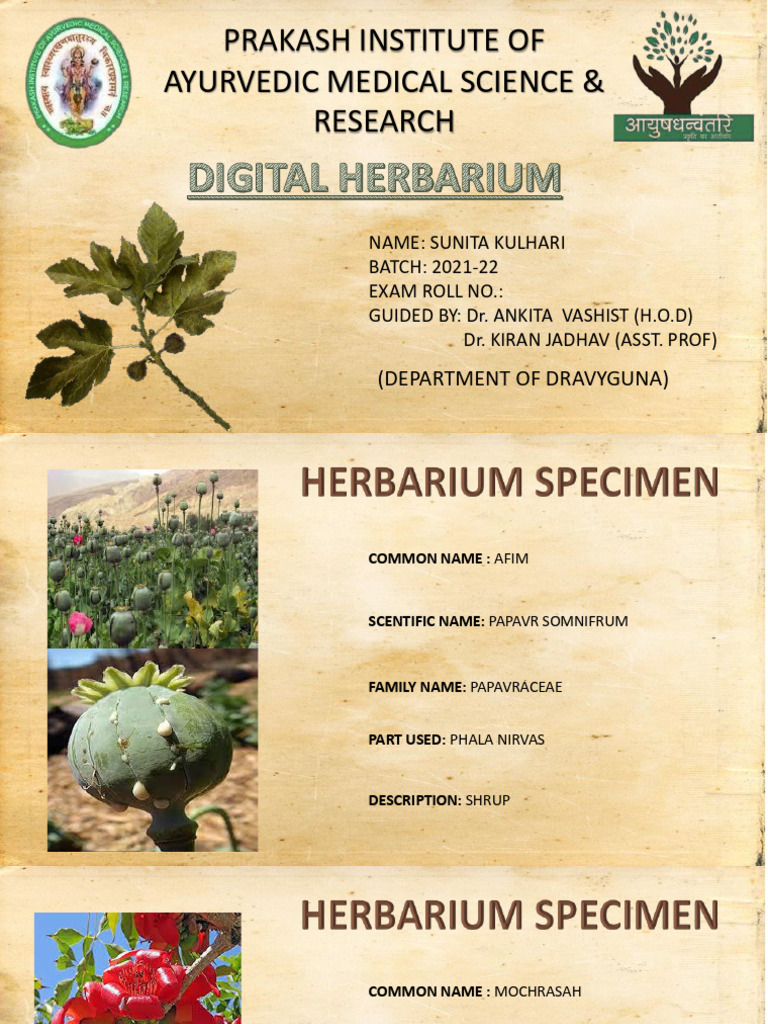 Ayurvedic Plant Reference Guide | PDF