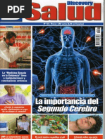 Download Nuestro Segundo Cerebro by Victor Consultor Seo-Google SN83080873 doc pdf