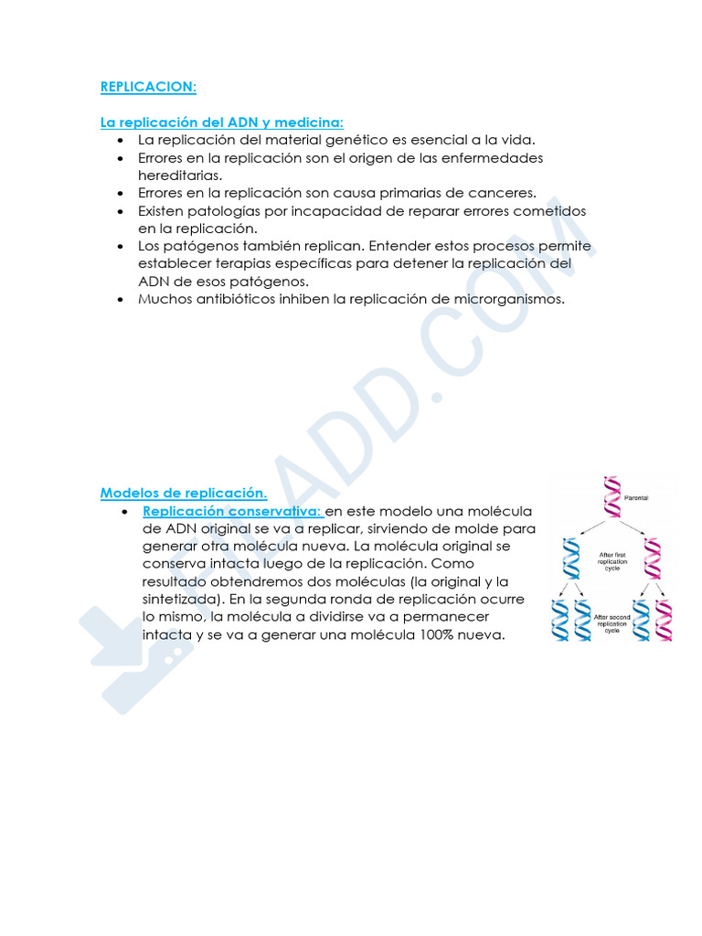 REPLICACION | PDF | Replicación De Adn | Adn