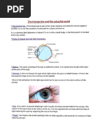 Anatomy and Function of the Human Eye | PDF | Eye | Human Eye