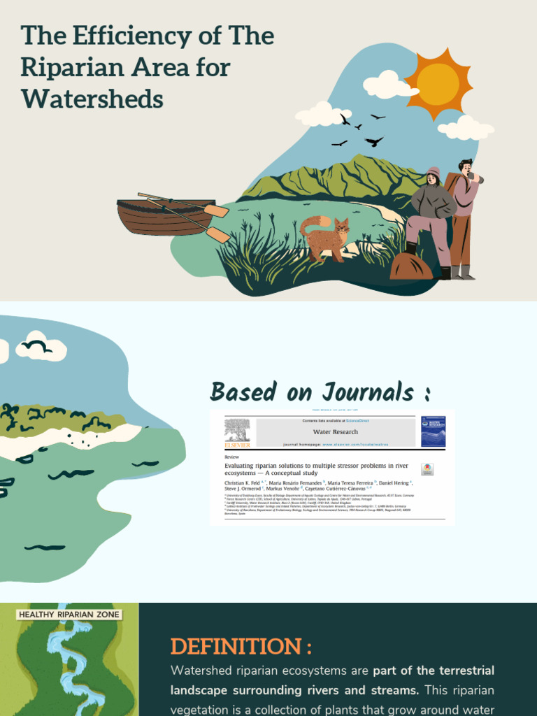 The Efficiency of The Riparian Area For Watersheds | PDF | Riparian ...