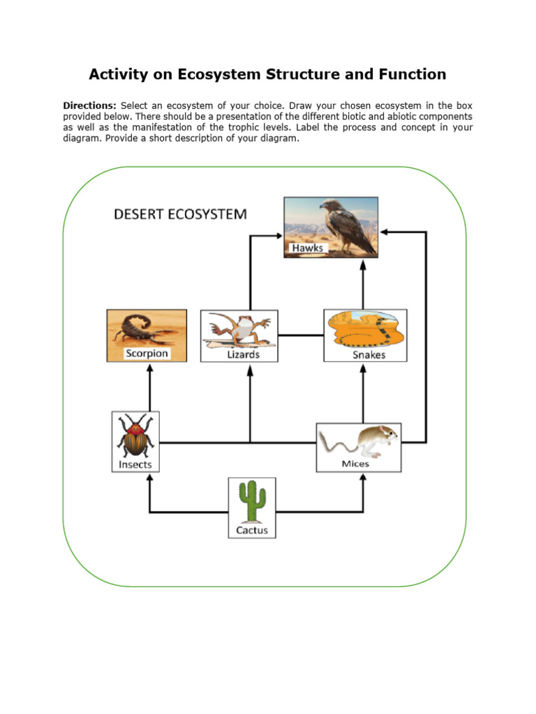 Assessment Task - Activity On Ecosystem Structure and Function | PDF ...