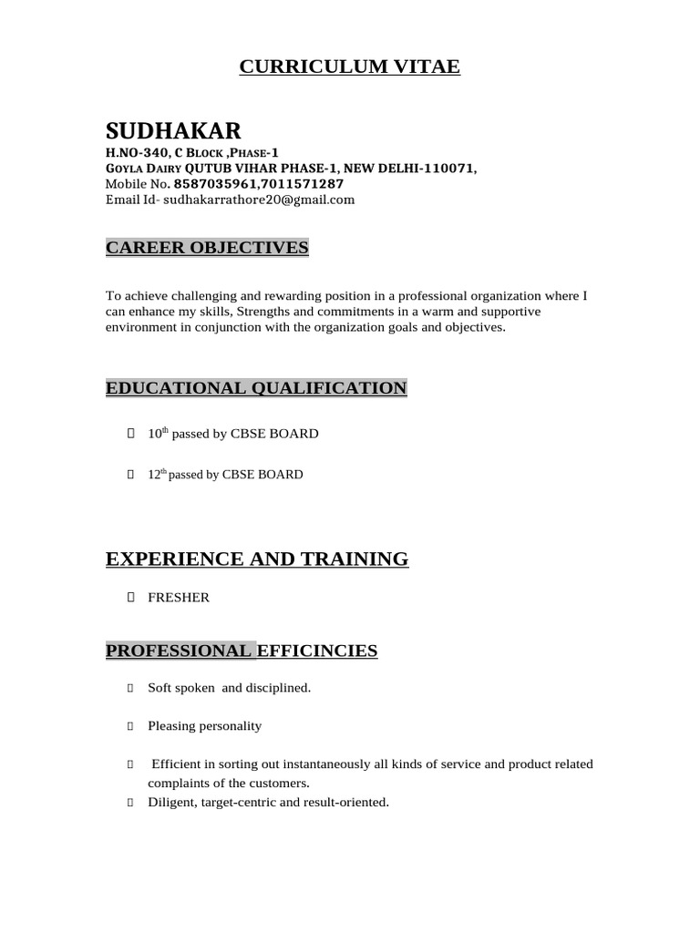 Sudhakar's Professional CV Summary | PDF