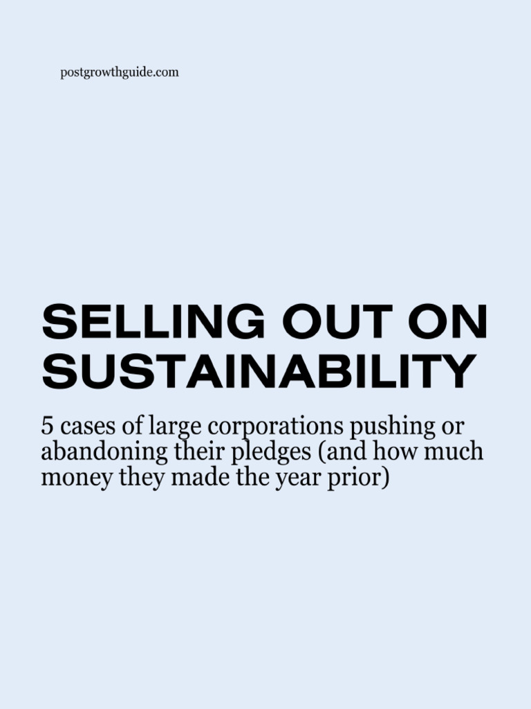 Selling out Sustainability Cases | PDF