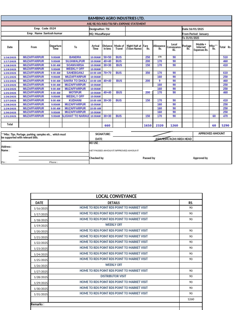 January 2025 Expense Statement for TSI | PDF