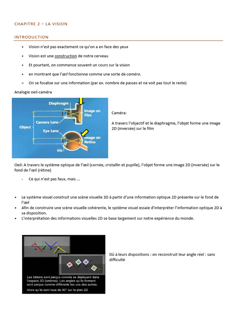Mécanismes de la Vision et Perception Visuelle | PDF | Rétine | Cortex ...