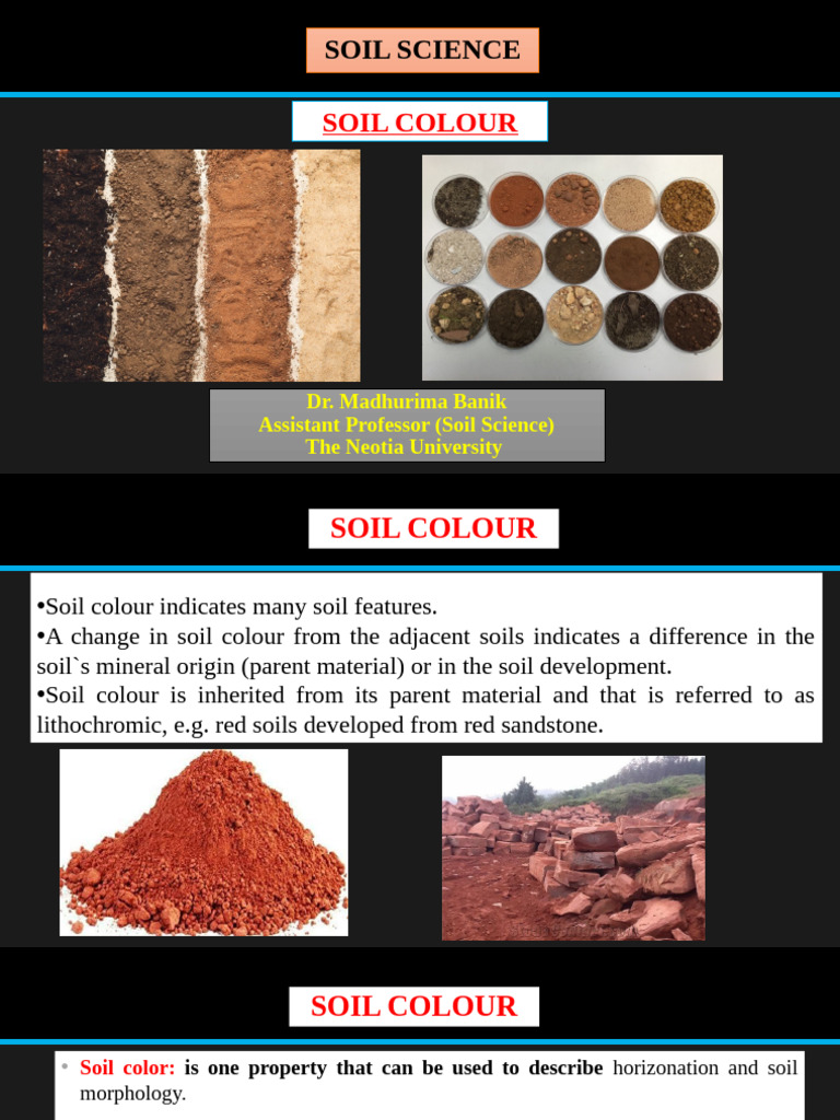 Understanding Soil Color and Its Indicators | PDF | Soil | Color