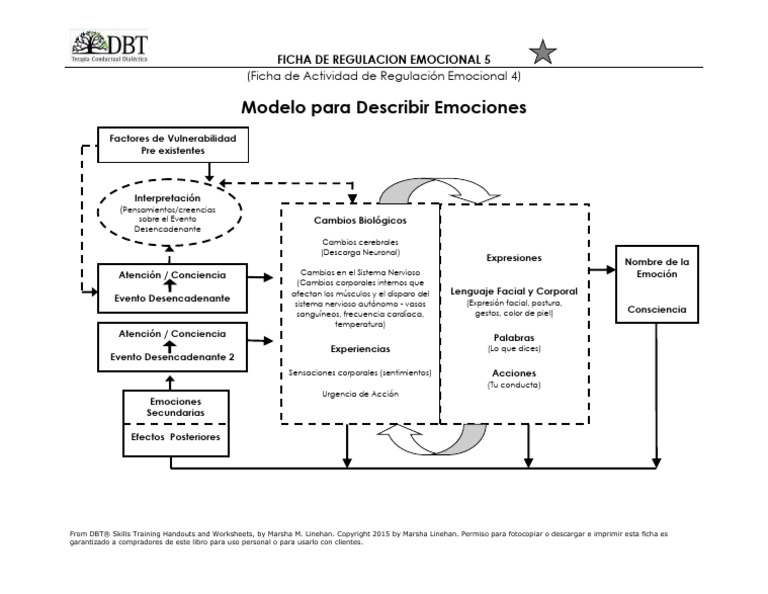 Modelo de Regulación Emocional DBT | PDF | Las emociones | Cognición