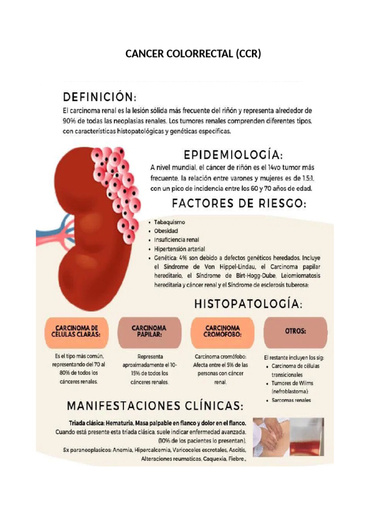 Cancer Colorrectal | PDF