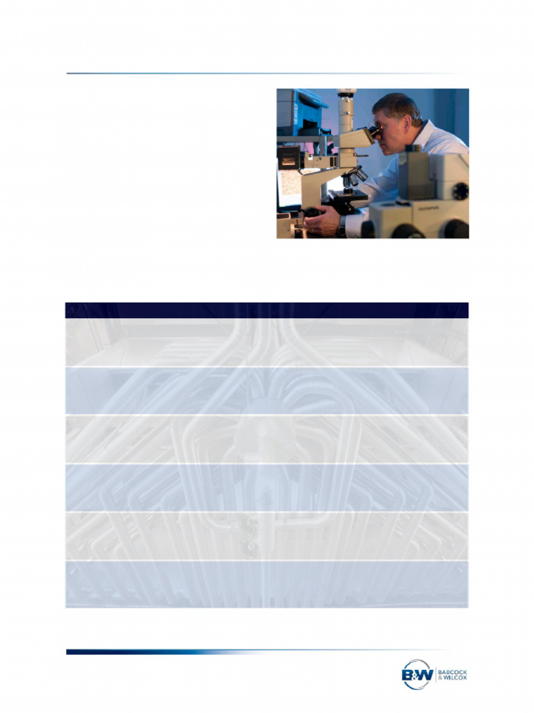 PS 539 Condition Assessment Laboratory Services Babcock Wilcox | PDF ...